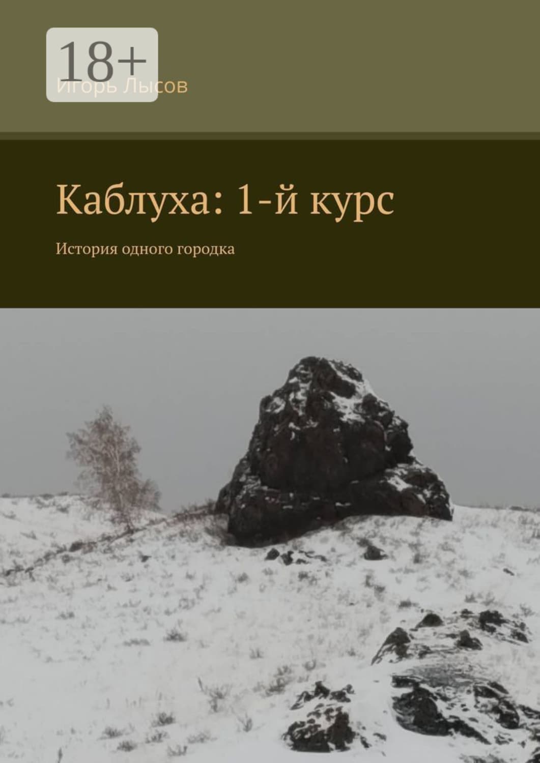 Обложка книги «Каблуха: 1-й курс. История одного городка» — Игорь Лысов