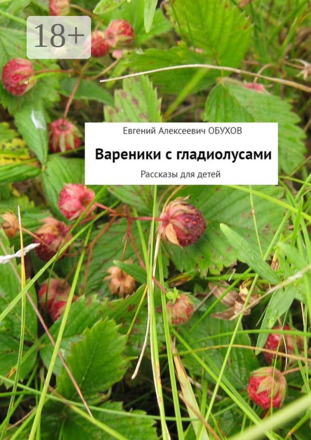 Обложка книги «Вареники с гладиолусами. Рассказы для детей» — Евгений Обухов