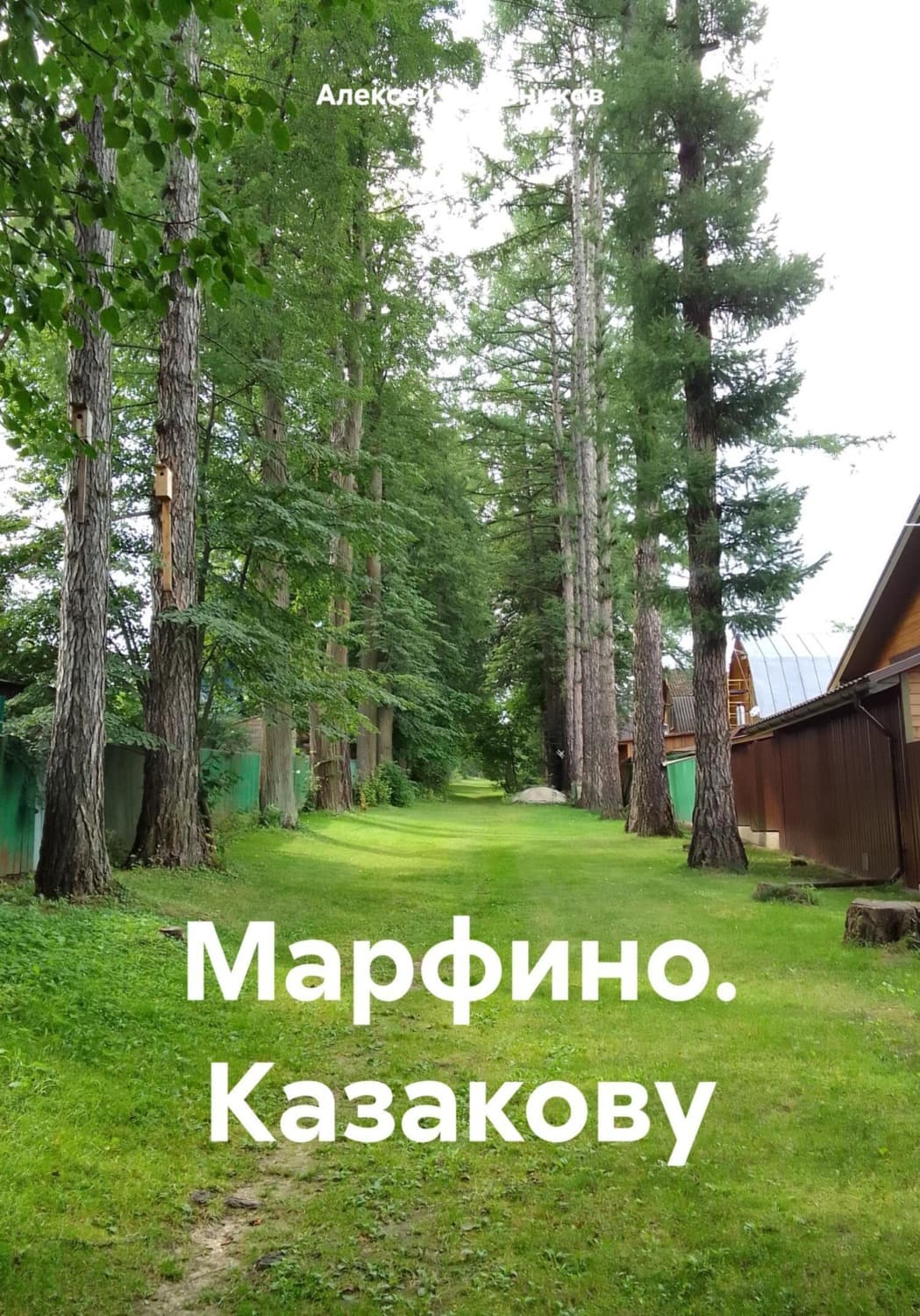 Обложка книги «Марфино. Казакову» — А. О. Мельников