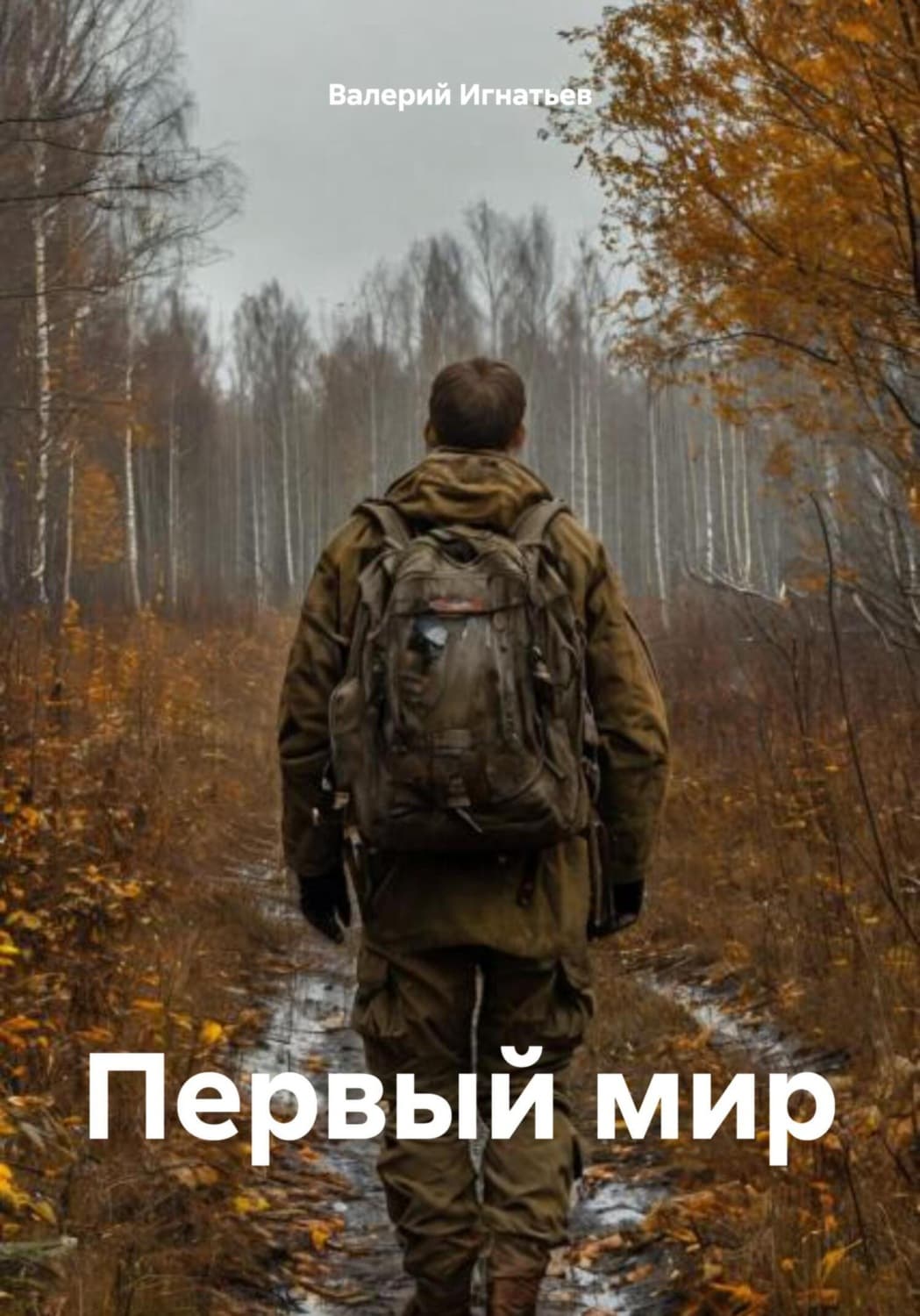 Обложка книги «Первый мир» — В. И. Игнатьев