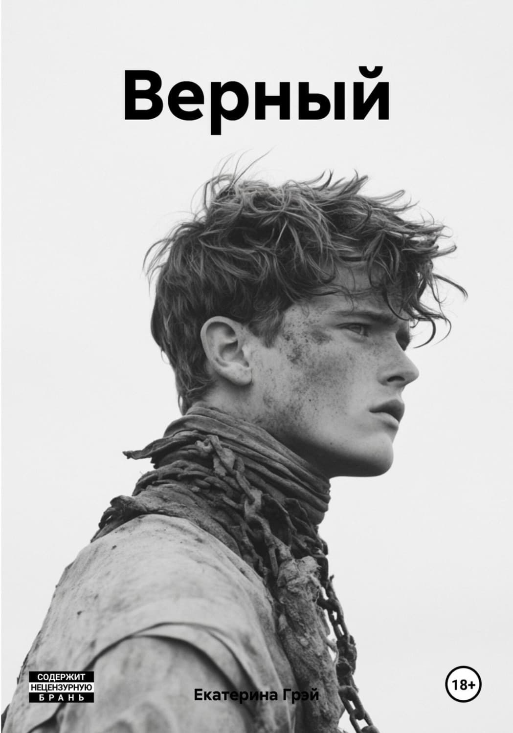 Обложка книги «Верный» — Гартнер Екатерина
