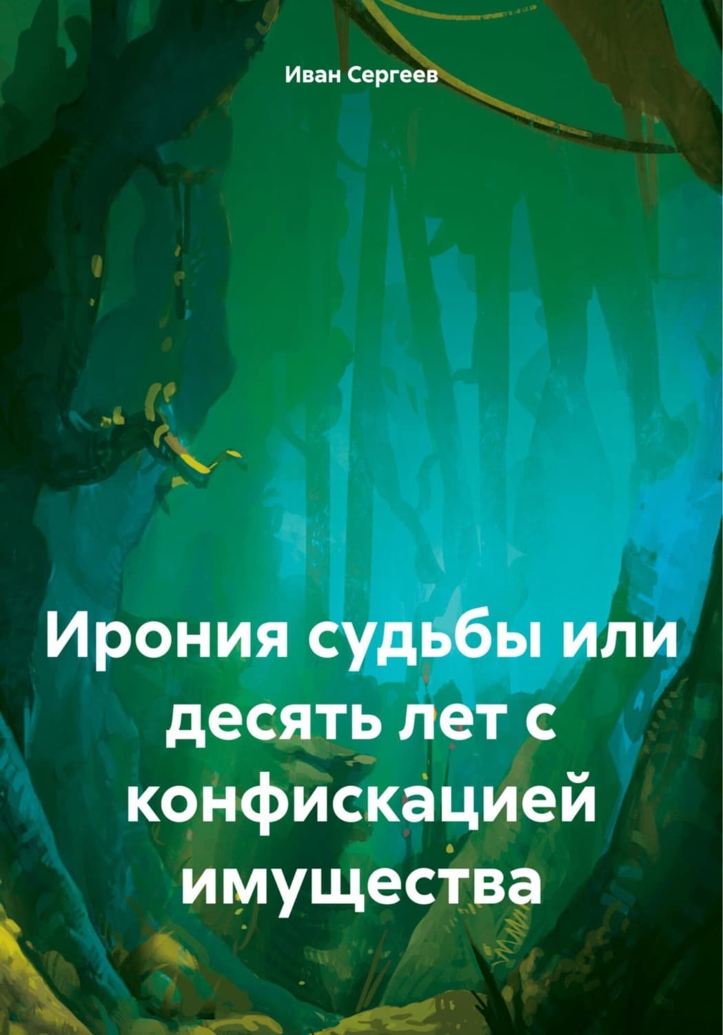 Обложка книги «Ирония судьбы или десять лет с конфискацией имущества» — Игорь Сергеев