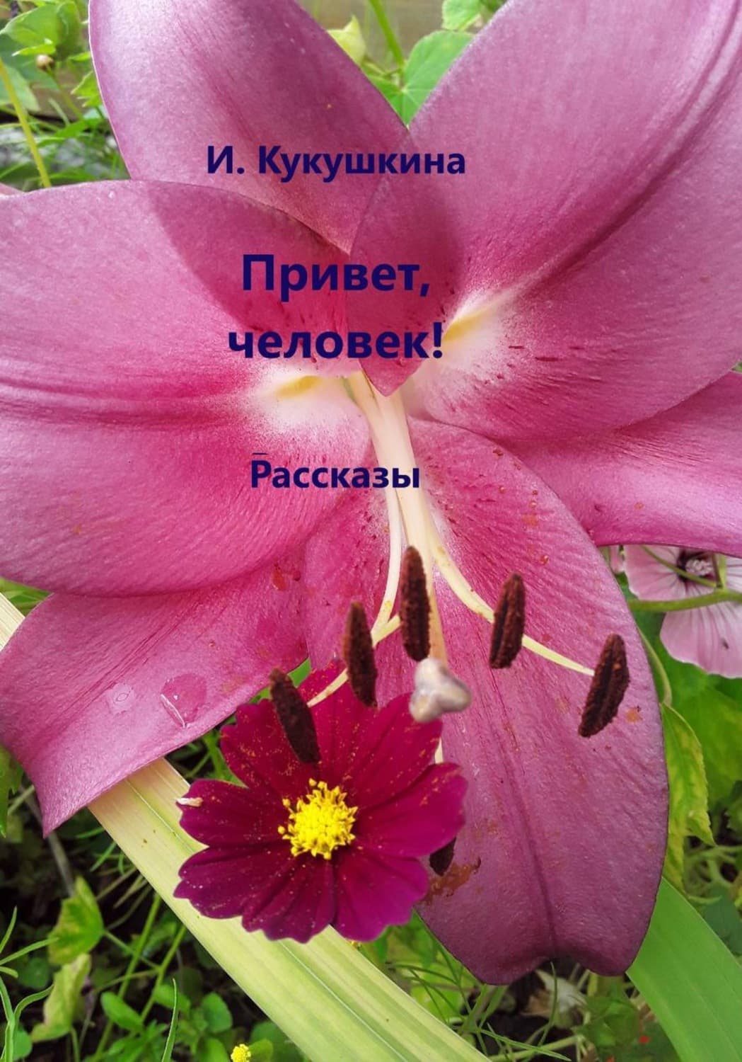 Обложка книги «Привет, человек! Рассказы» — Ирина Кукушкина