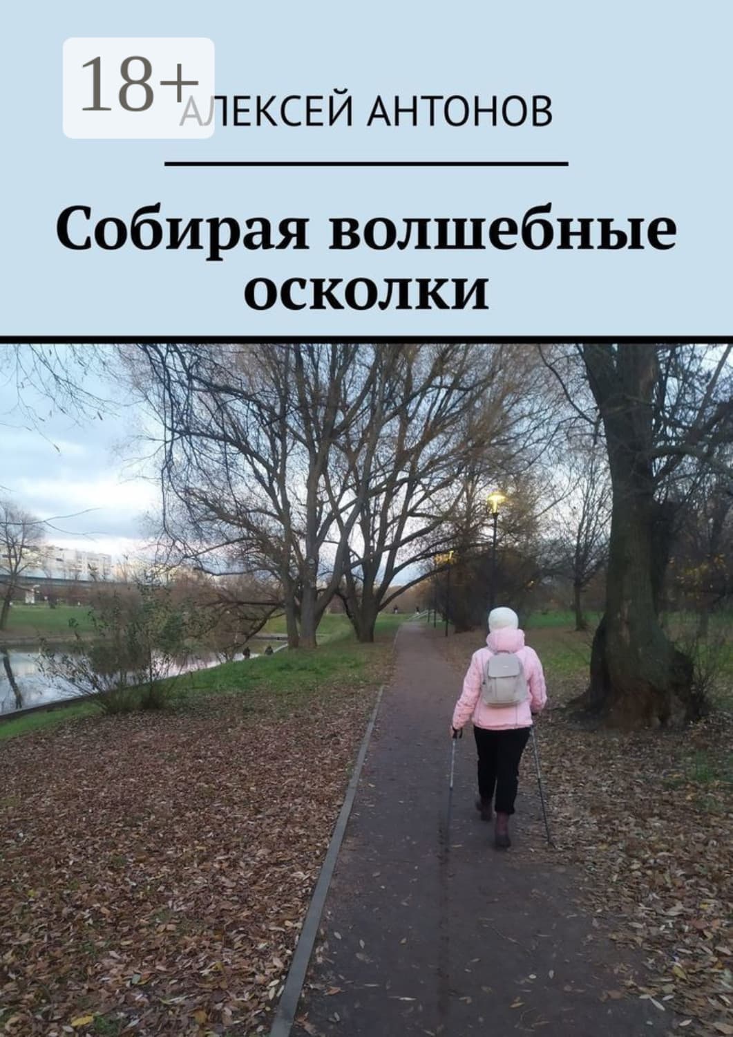 Обложка книги «Собирая волшебные осколки» — Александр Антонов