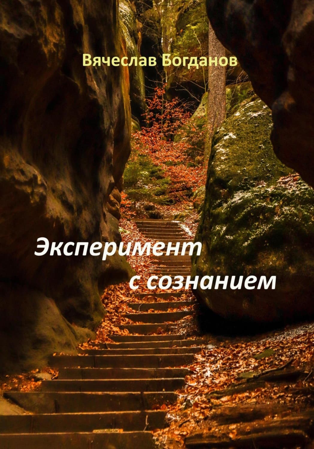 Обложка книги «Эксперимент с сознанием» — Виктор Богданов