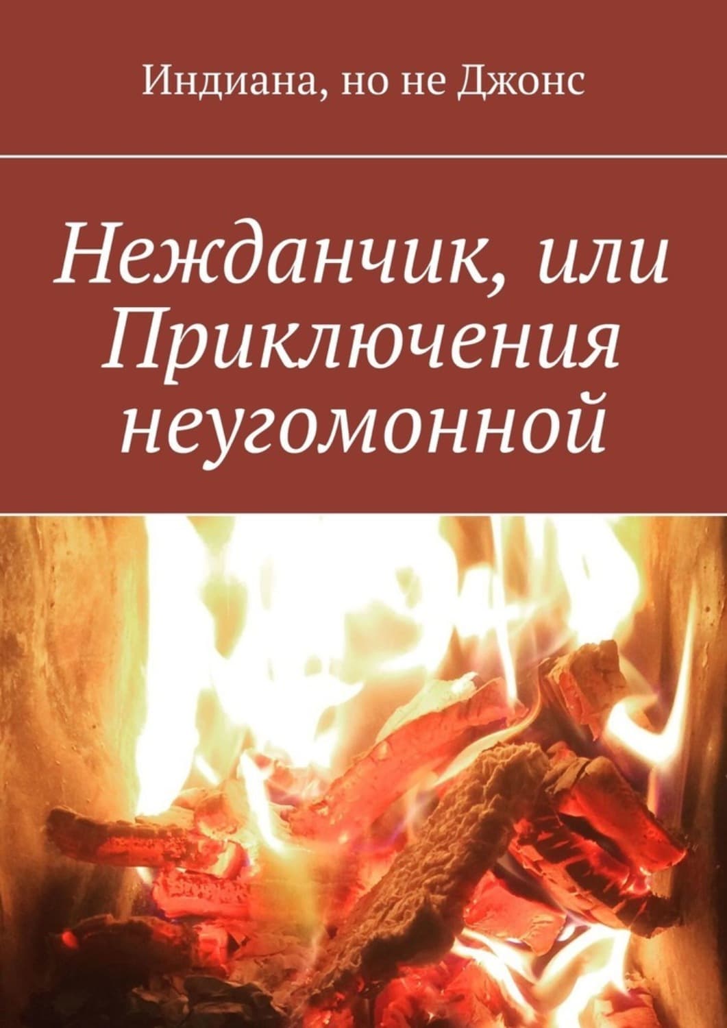 Обложка книги «Нежданчик, или Приключения неугомонной» — Ифигения Джонс