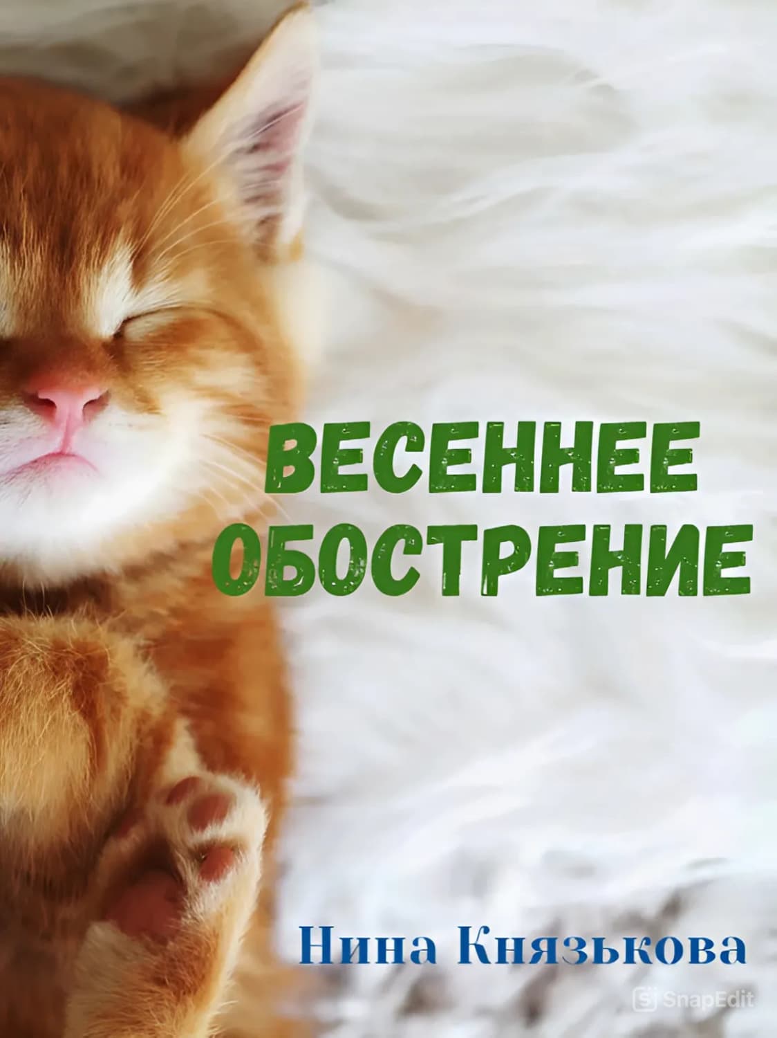 Обложка книги «Весеннее обострение» — Нина Князькова