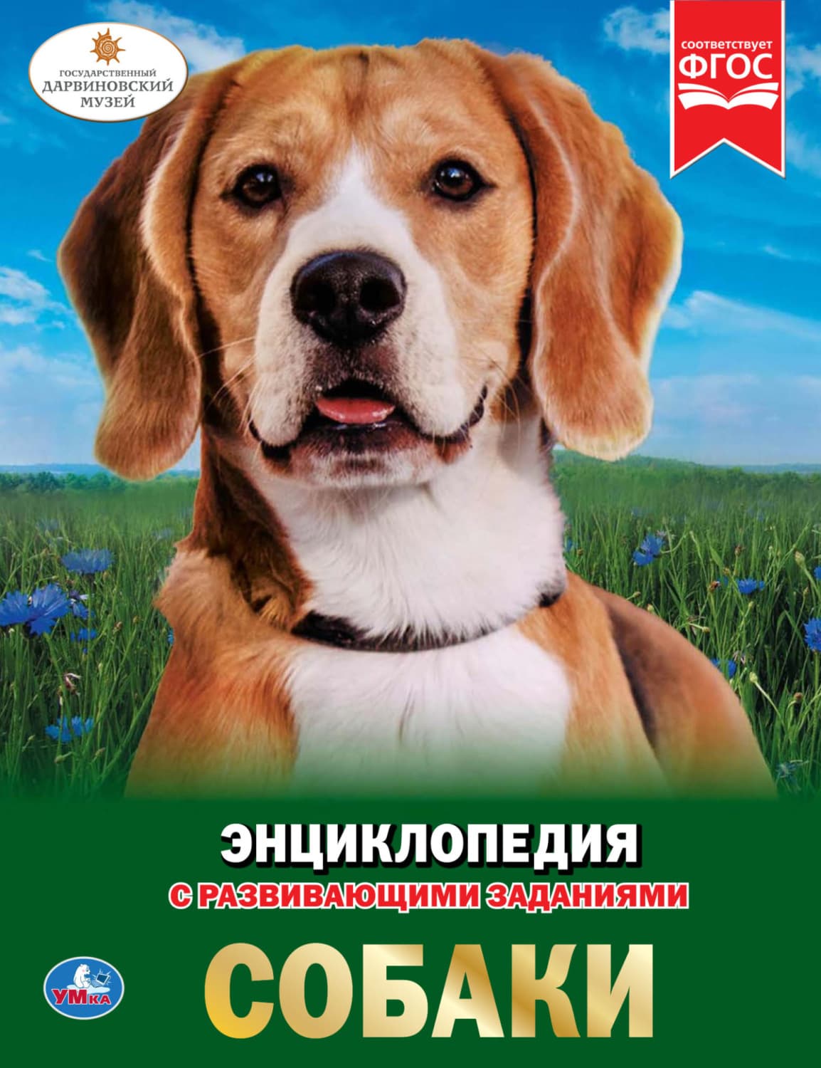 Обложка книги «Собаки» — Н. Б. Седова