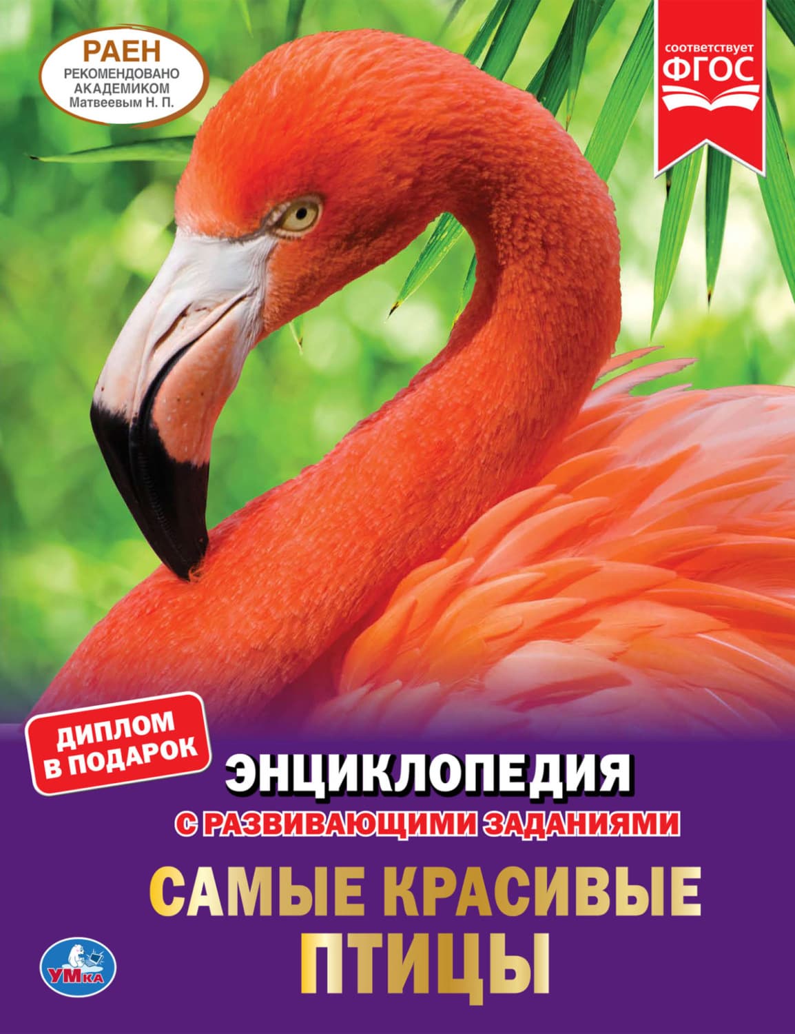 Обложка книги «Самые красивые птицы» — П. М. Волцит
