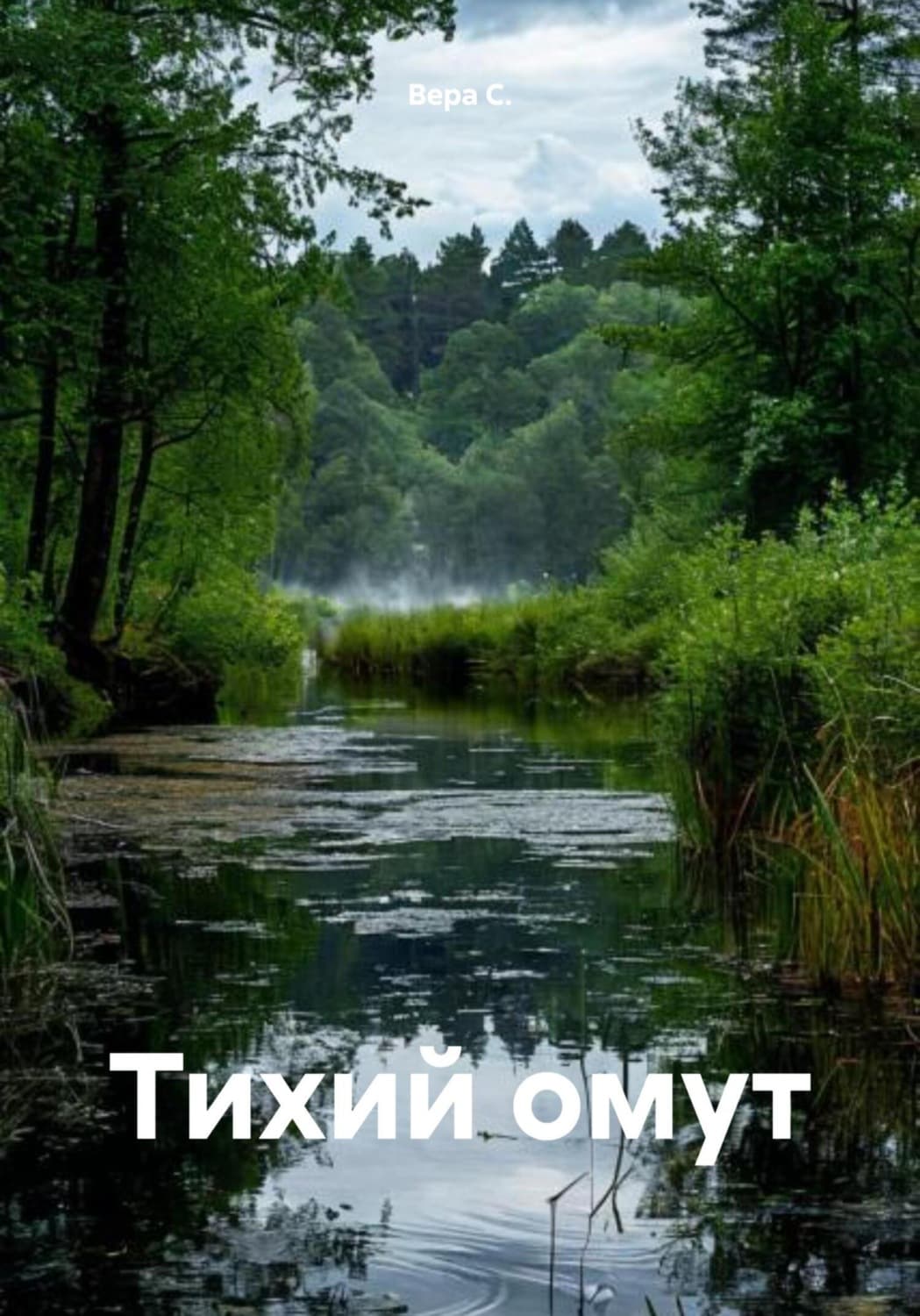 Обложка книги «Тихий омут» — Вард Ц. С