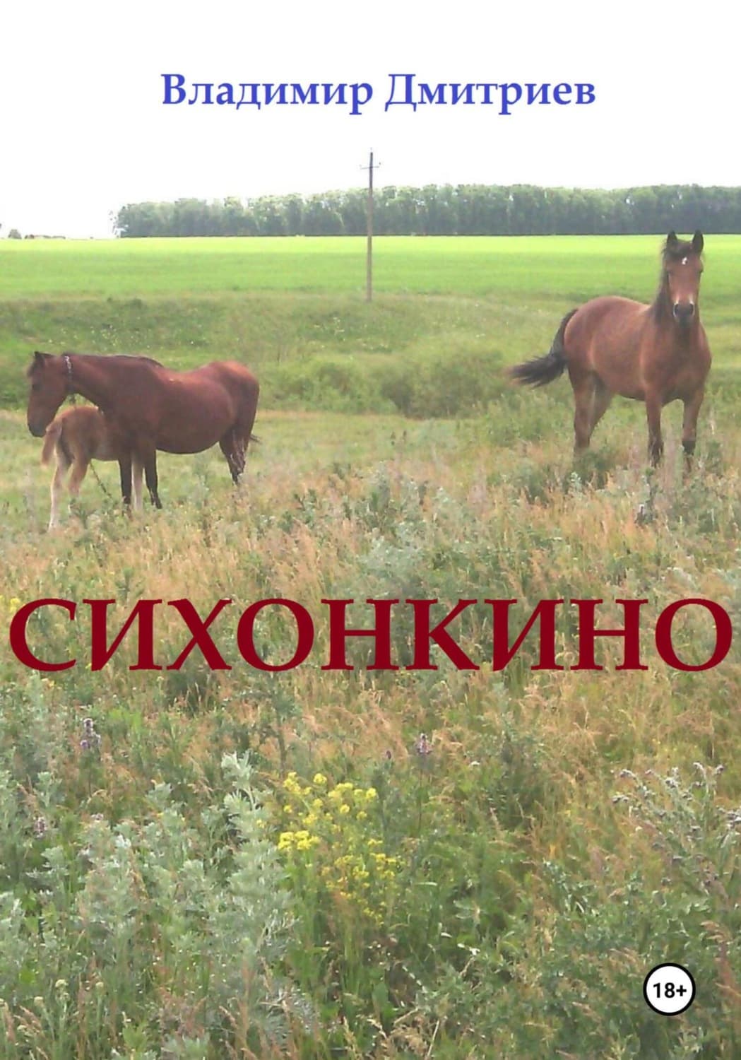 Обложка книги «Сихонкино» — Валерий Дмитриев