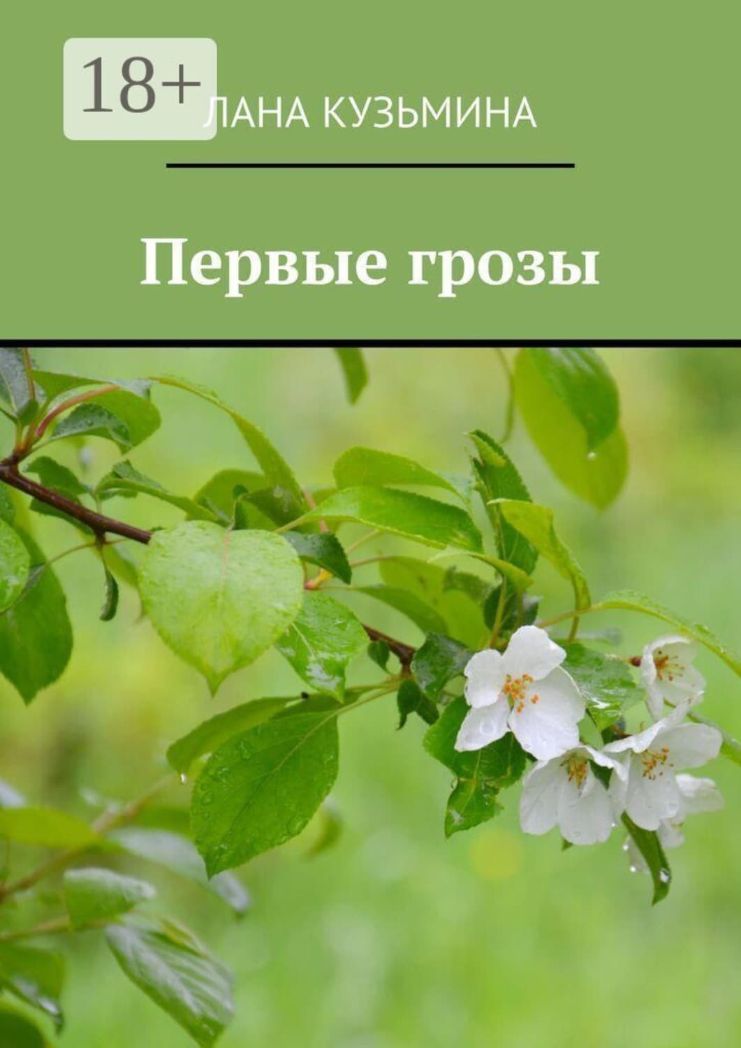 Обложка книги «Первые грозы» — Лидия Кузьмина