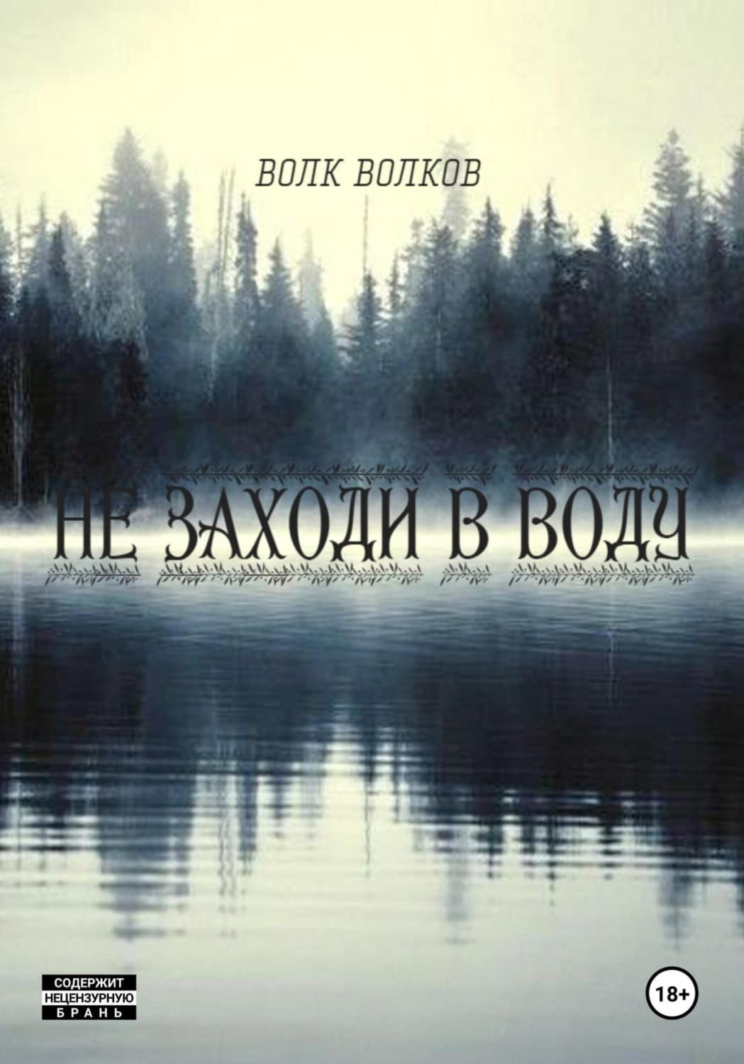 Обложка книги «не заходи в воду» — В. А. Волков