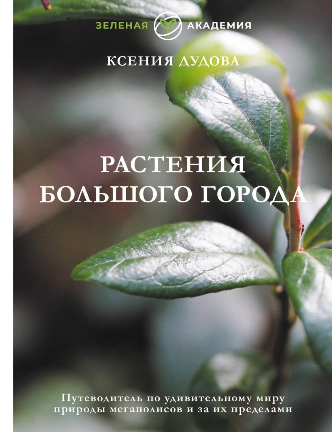 Обложка книги «Растения большого города. Путеводитель по удивительному миру природы мегаполисов и за их пределами» — Ксения Дудова