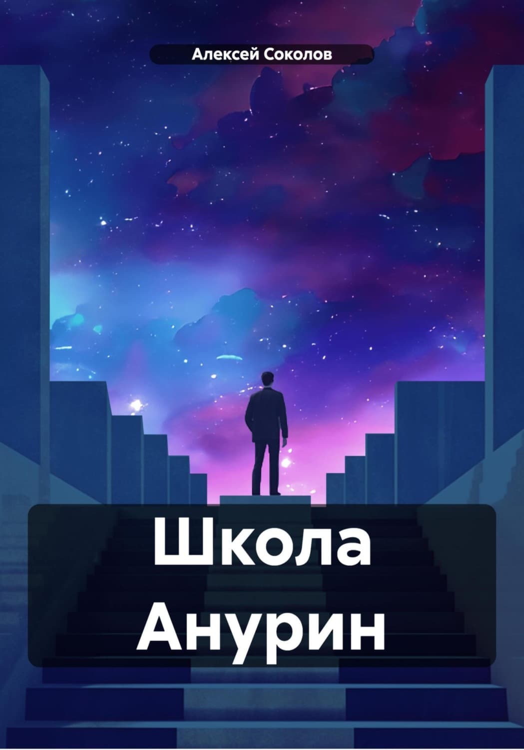 Обложка книги «Школа Анурин» — А. Н. Соколов