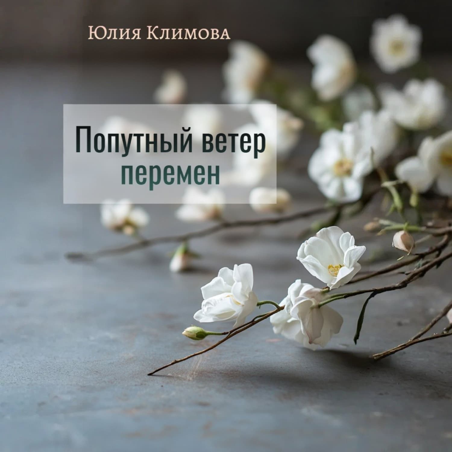 Обложка книги «Попутный ветер перемен» — Юлия Климова