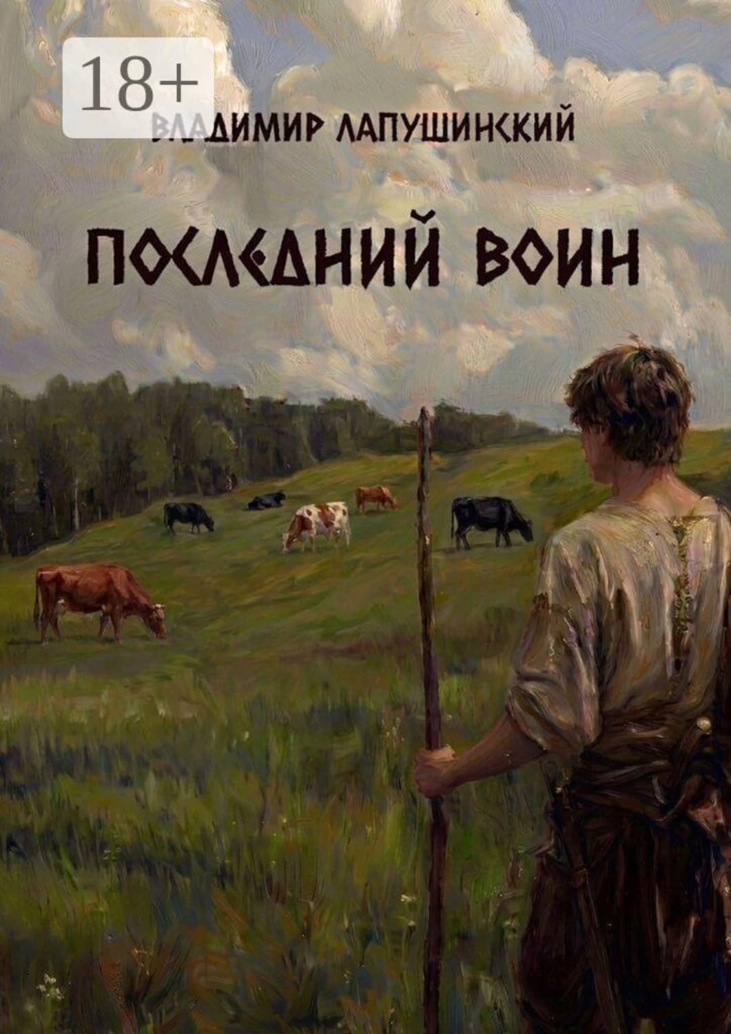 Обложка книги «Последний Воин» — Владимир Лапушинский
