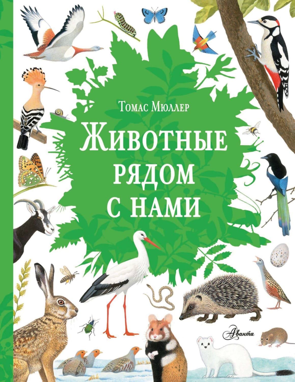 Обложка книги «Животные рядом с нами» — Таня Мюллер