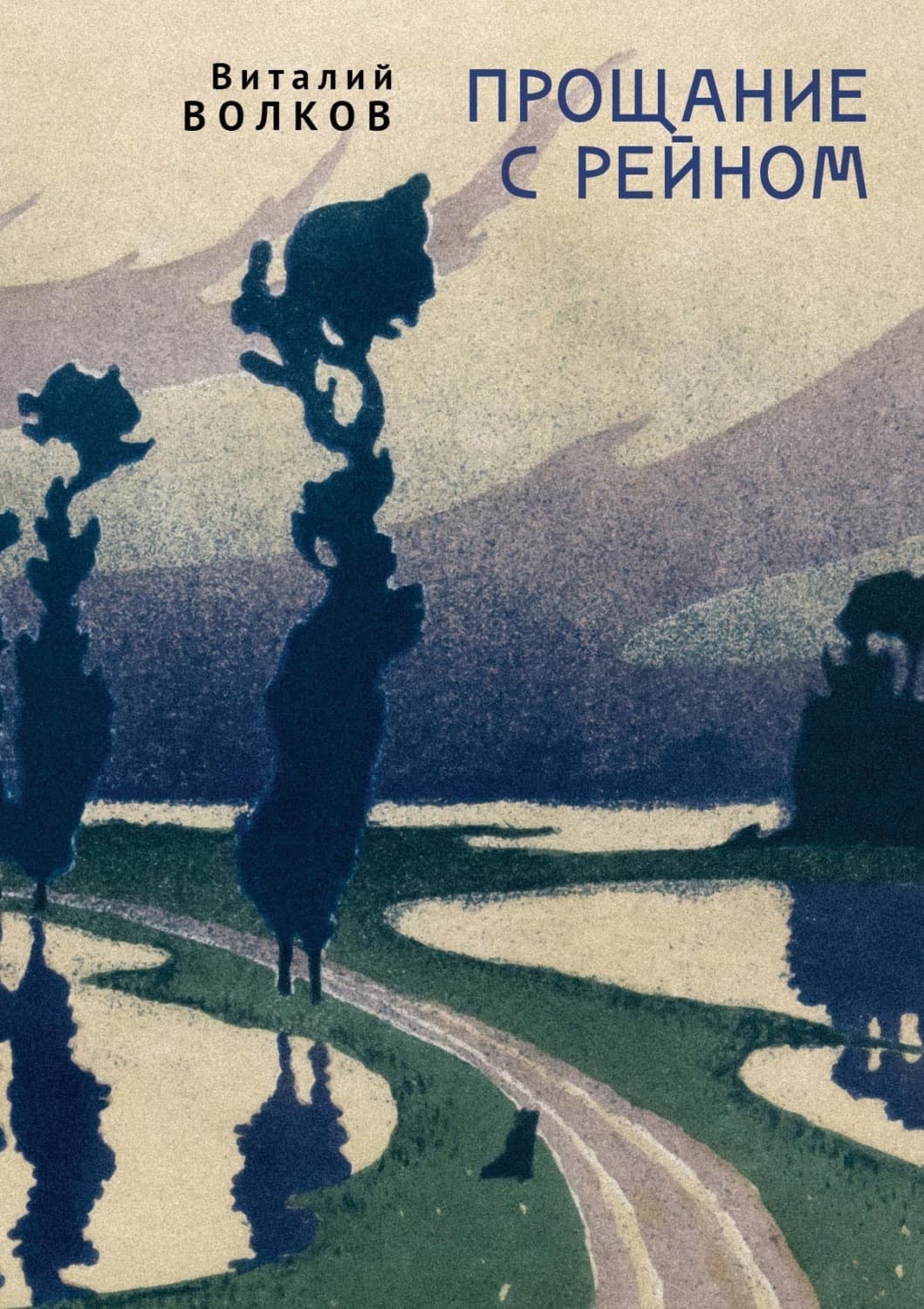 Обложка книги «Прощание с Рейном» — В. А. Волков