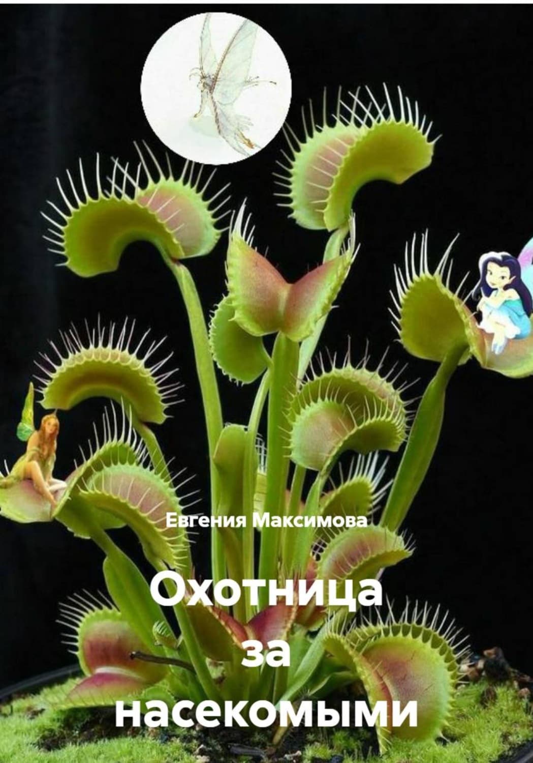 Обложка книги «Охотница за насекомыми» — Екатерина Максимова