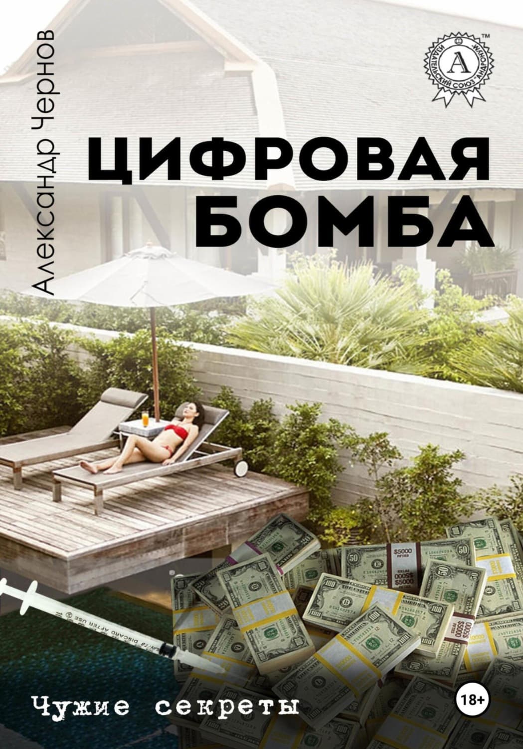 Обложка книги «Цифровая бомба» — Александр Чернов
