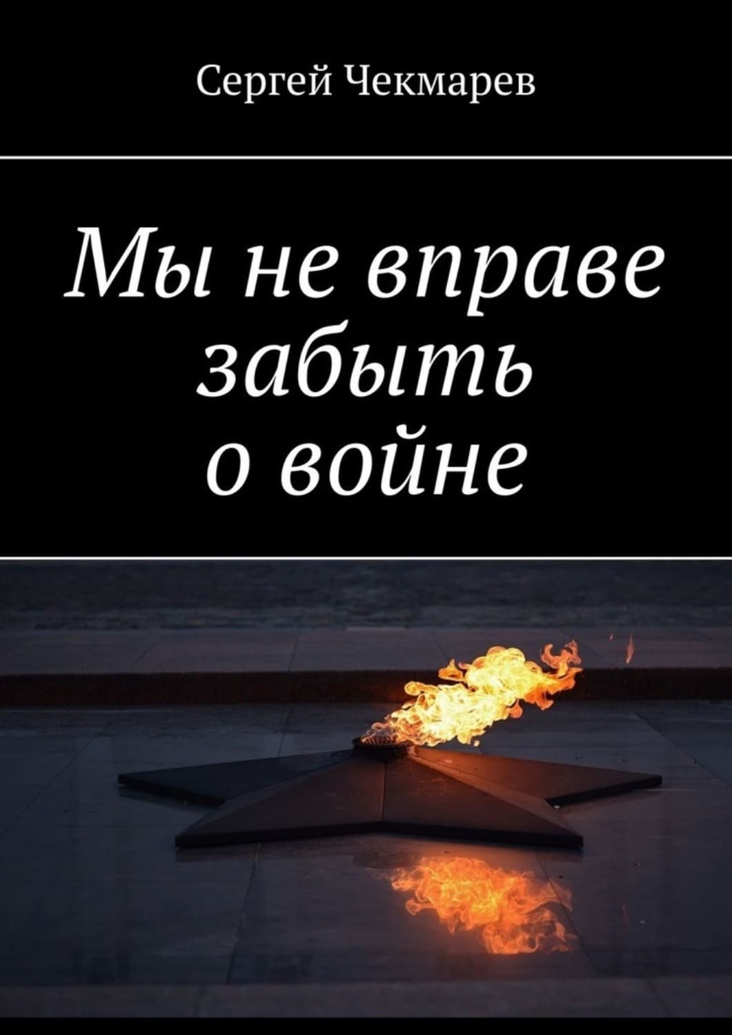 Обложка книги «Мы не вправе забыть о войне» — Сергей Чекмарев