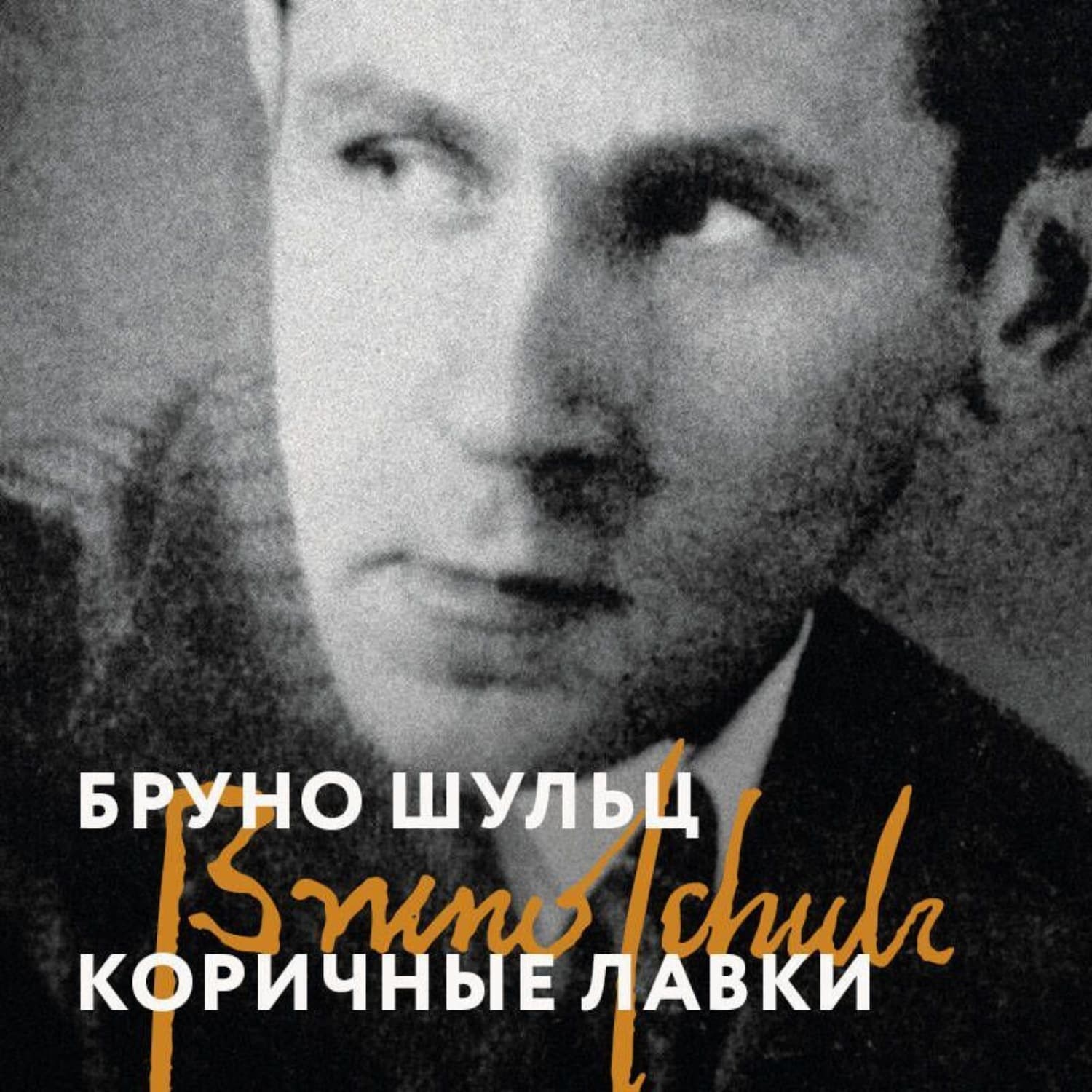 Обложка книги «Коричные лавки» — Бруно Шульц