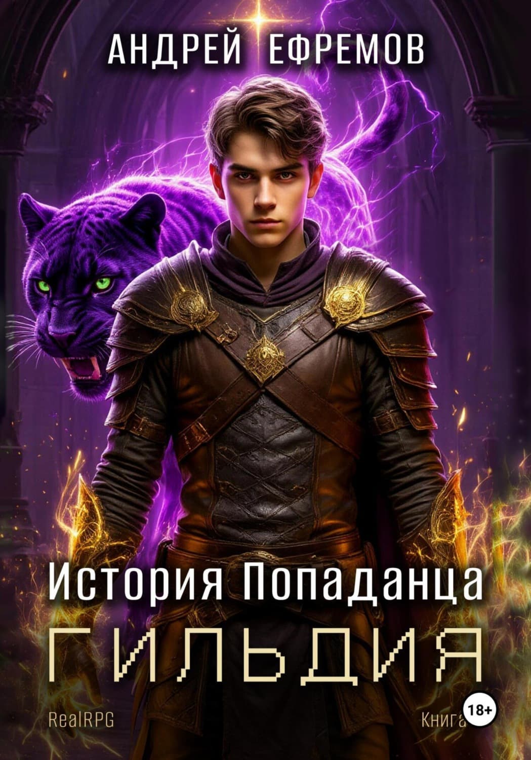 Обложка книги «История Попаданца-2. Гильдия» — Александр Ефремов