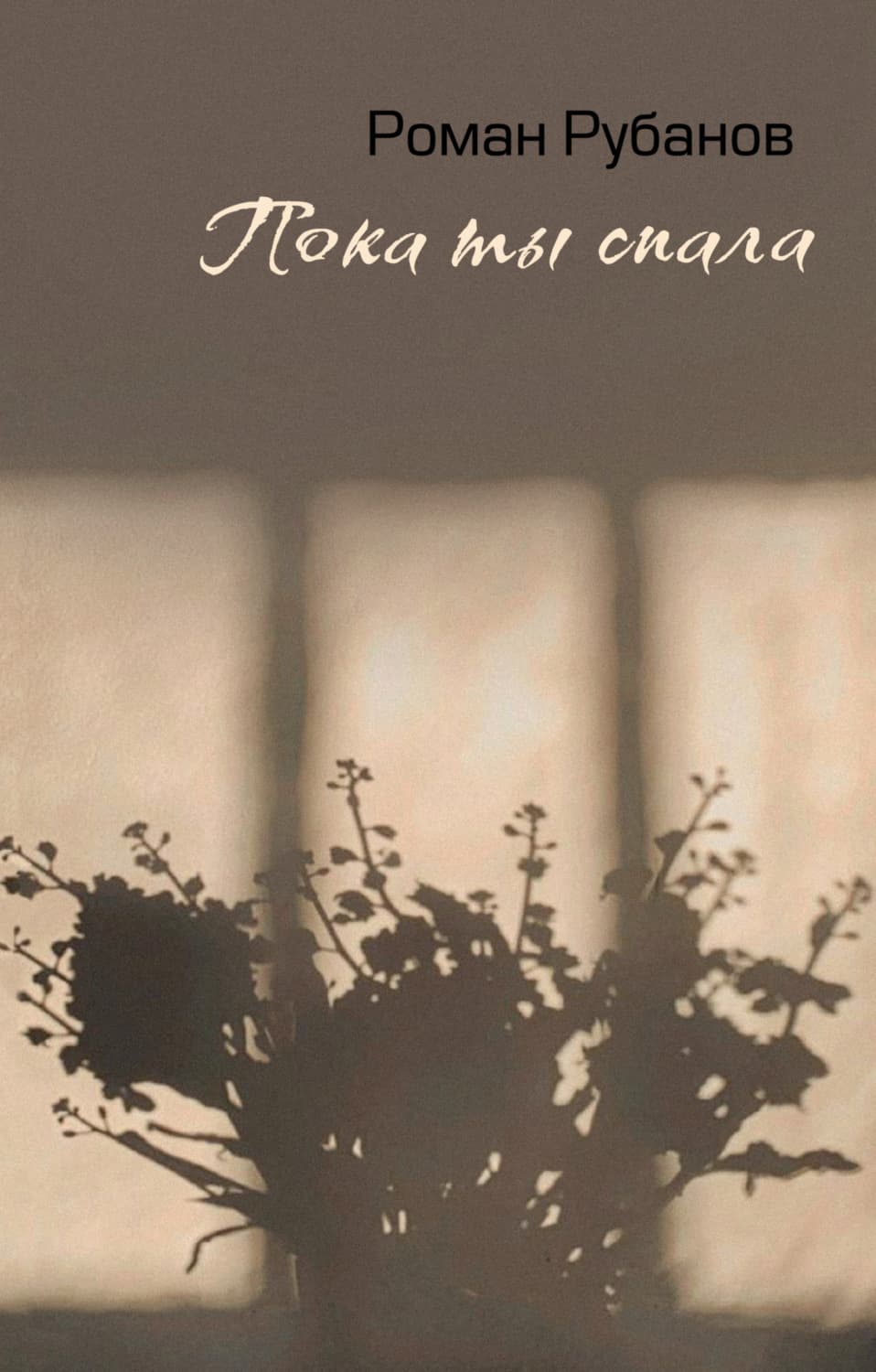 Обложка книги «Пока ты спала» — Роман Рубанов