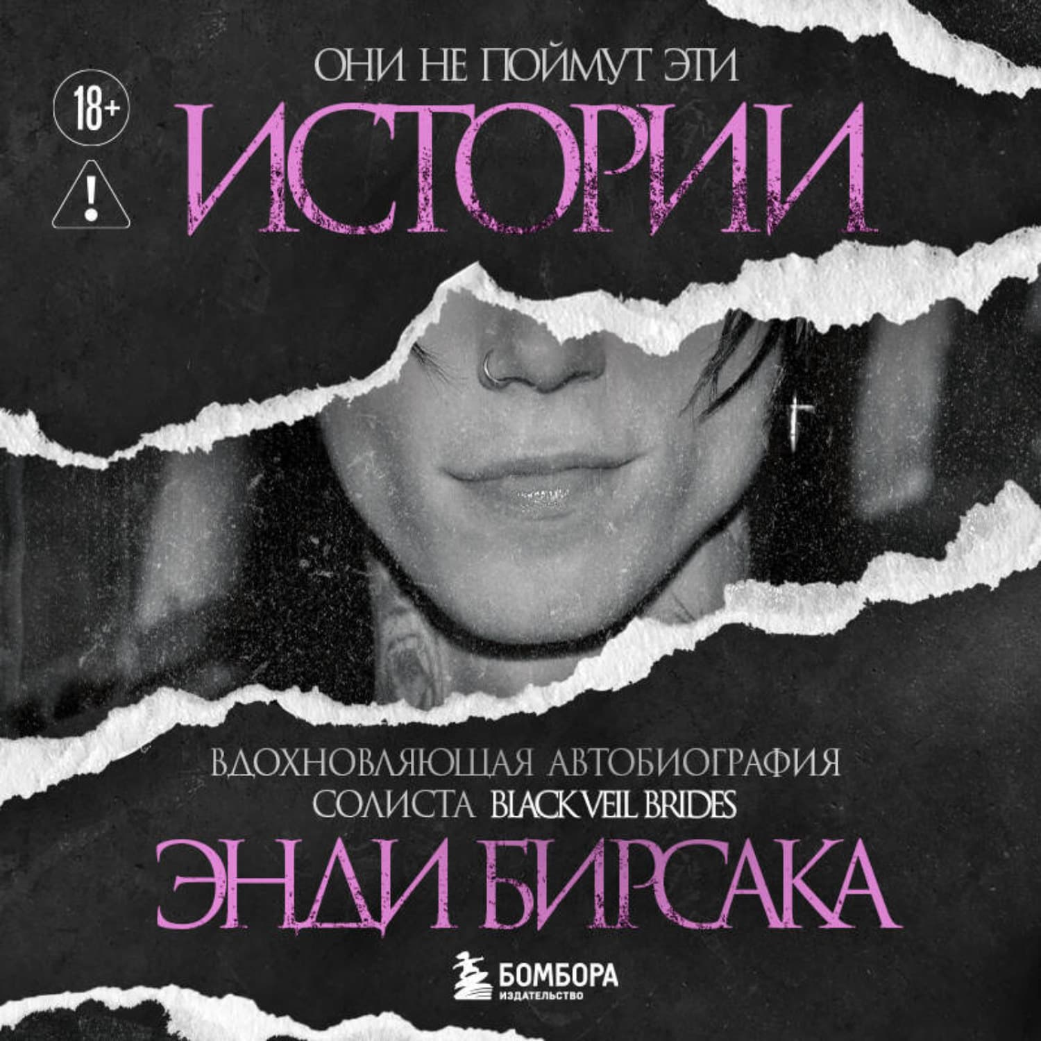 Обложка книги «Они не поймут эти истории: Вдохновляющая автобиография солиста Black Veil Brides Энди Бирсака» — Энди Бирсак