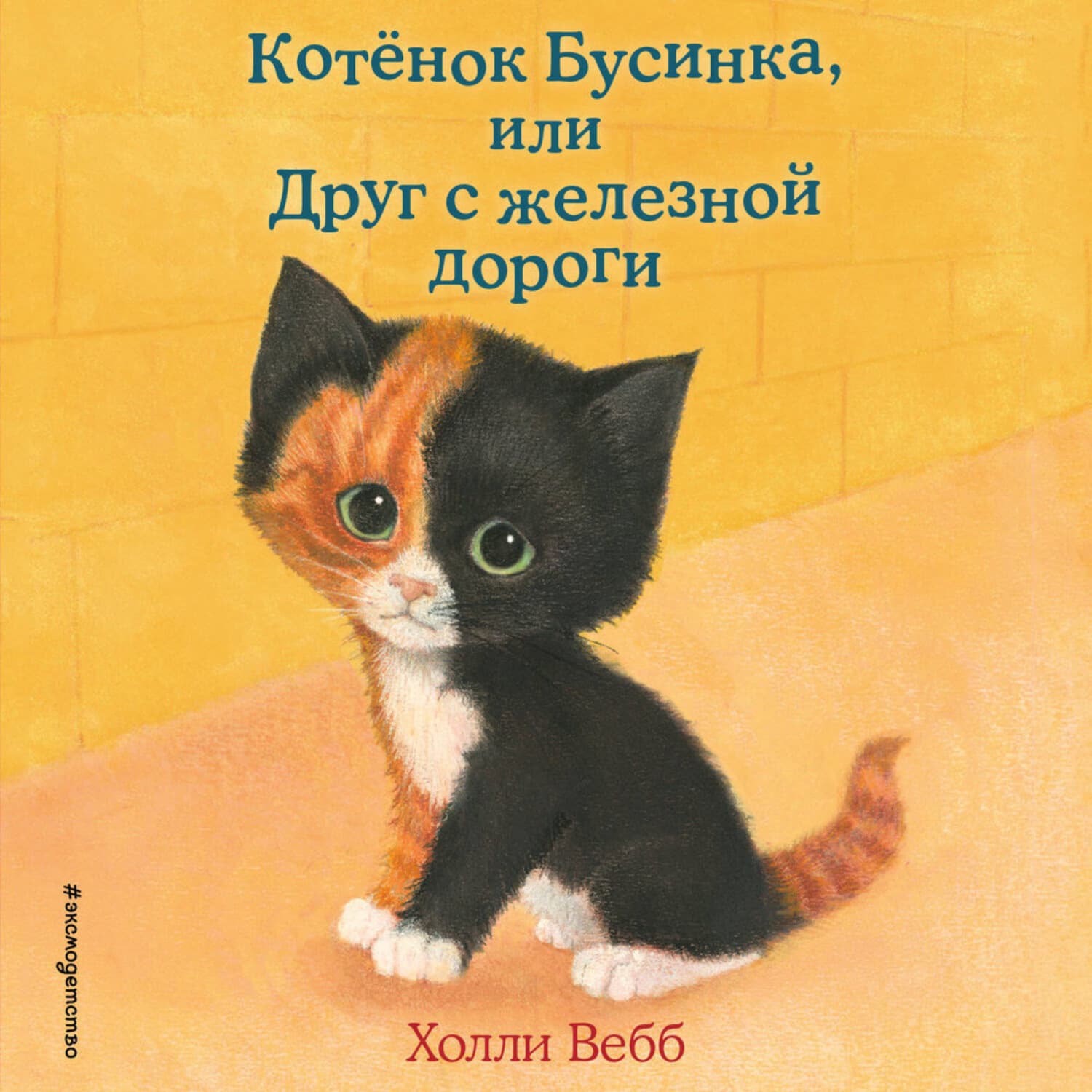 Обложка книги «Котёнок Бусинка, или Друг с железной дороги» — Холли Вебб