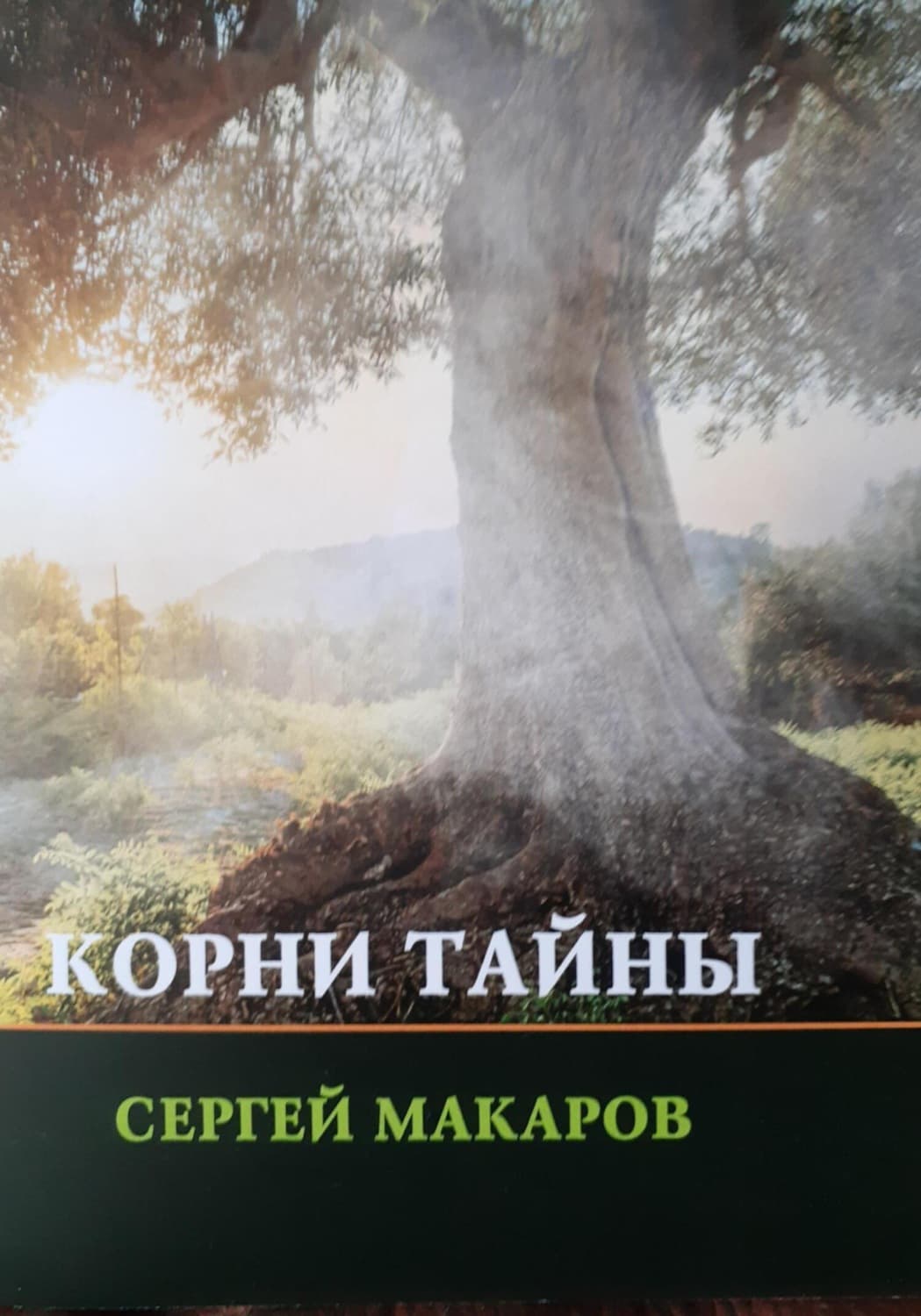 Обложка книги «Корни тайны» — Сергей Макаров