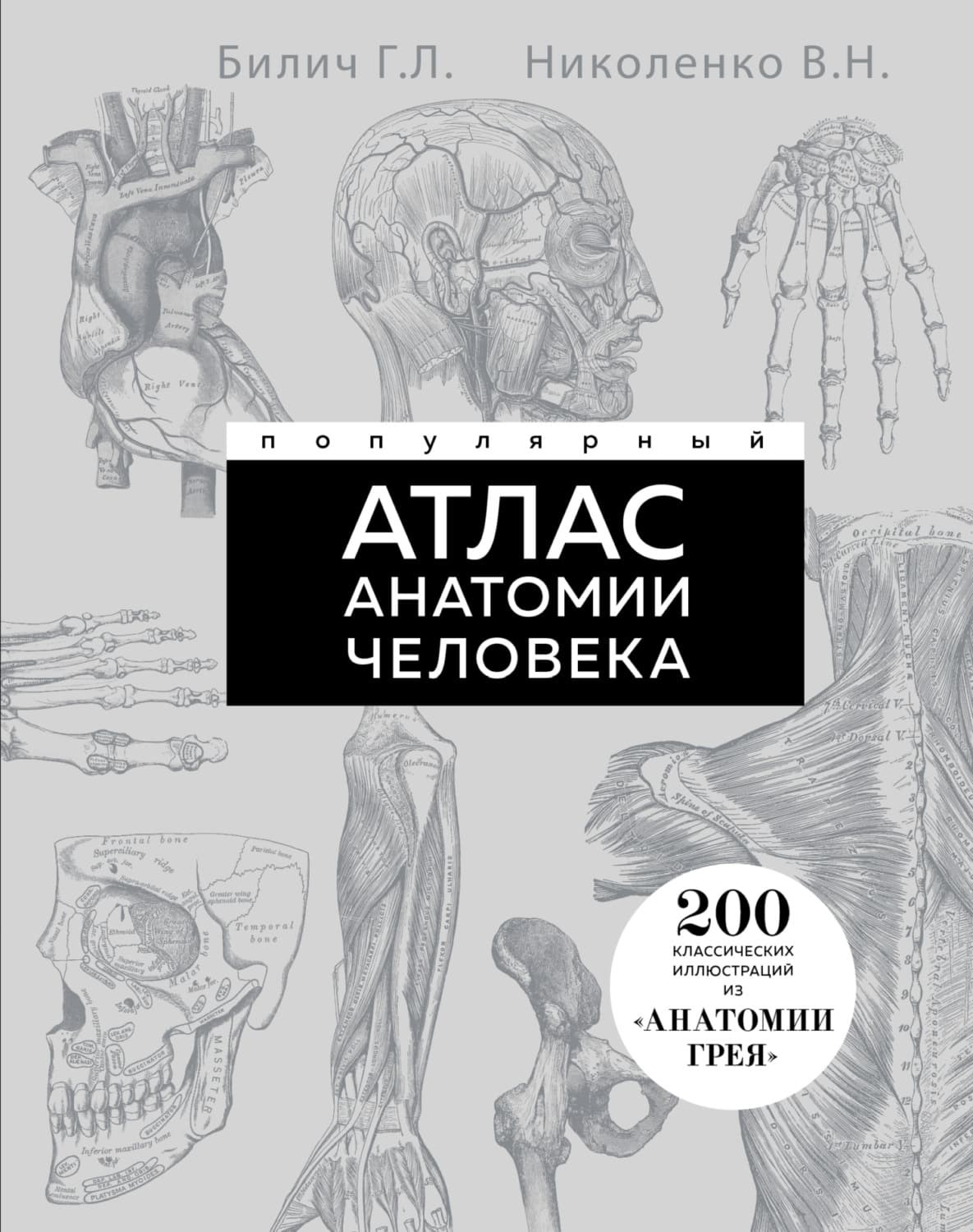 Обложка книги «Популярный атлас анатомии человека. 200 классических иллюстраций из «Анатомии Грея»» — Габриэль Билич