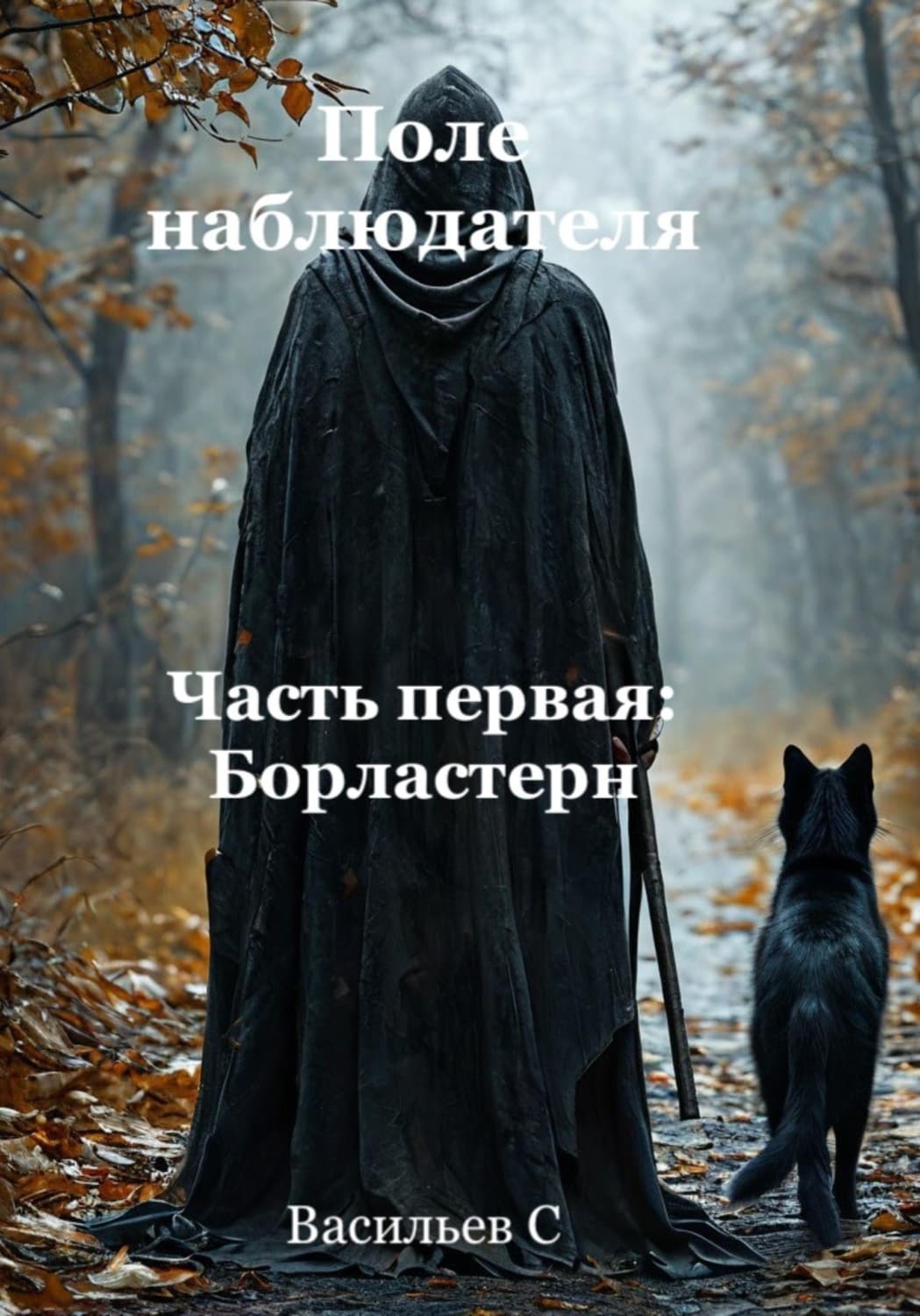 Обложка книги «Поле наблюдателя. Часть первая: Борластерн» — Сергей Васильев