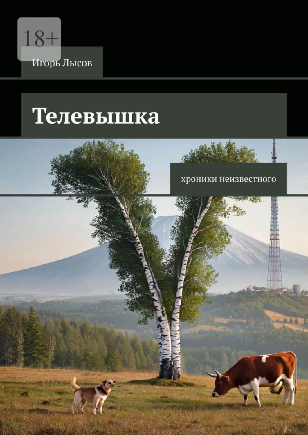 Обложка книги «Телевышка. Хроники неизвестного» — Игорь Лысов