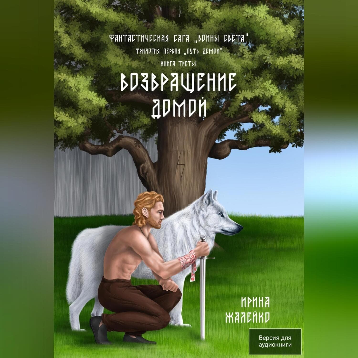 Обложка книги «Возвращение домой. Книга третья. Фантастическая сага «Воины света»» — Ирина Жалейко