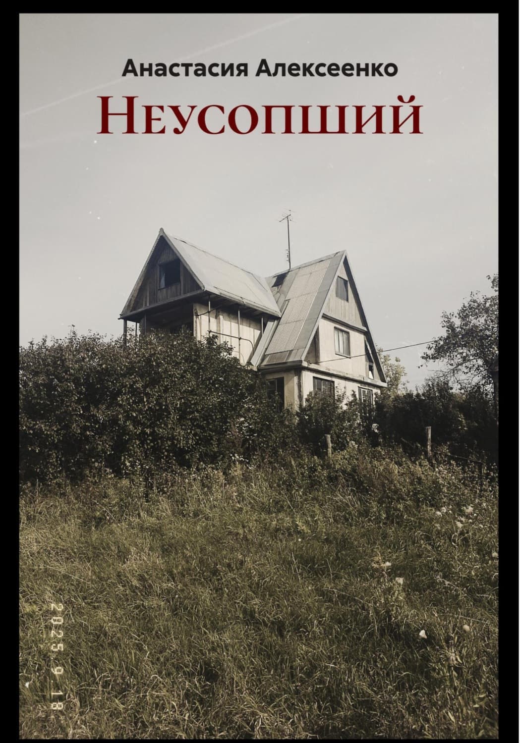 Обложка книги «Неусопший» — Андрей Алексеенко