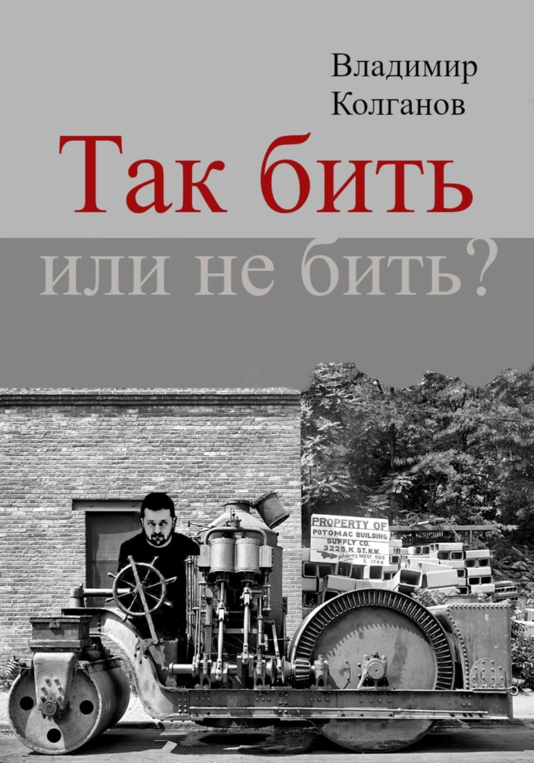 Обложка книги «Так бить или не бить?» — Владимир Колганов