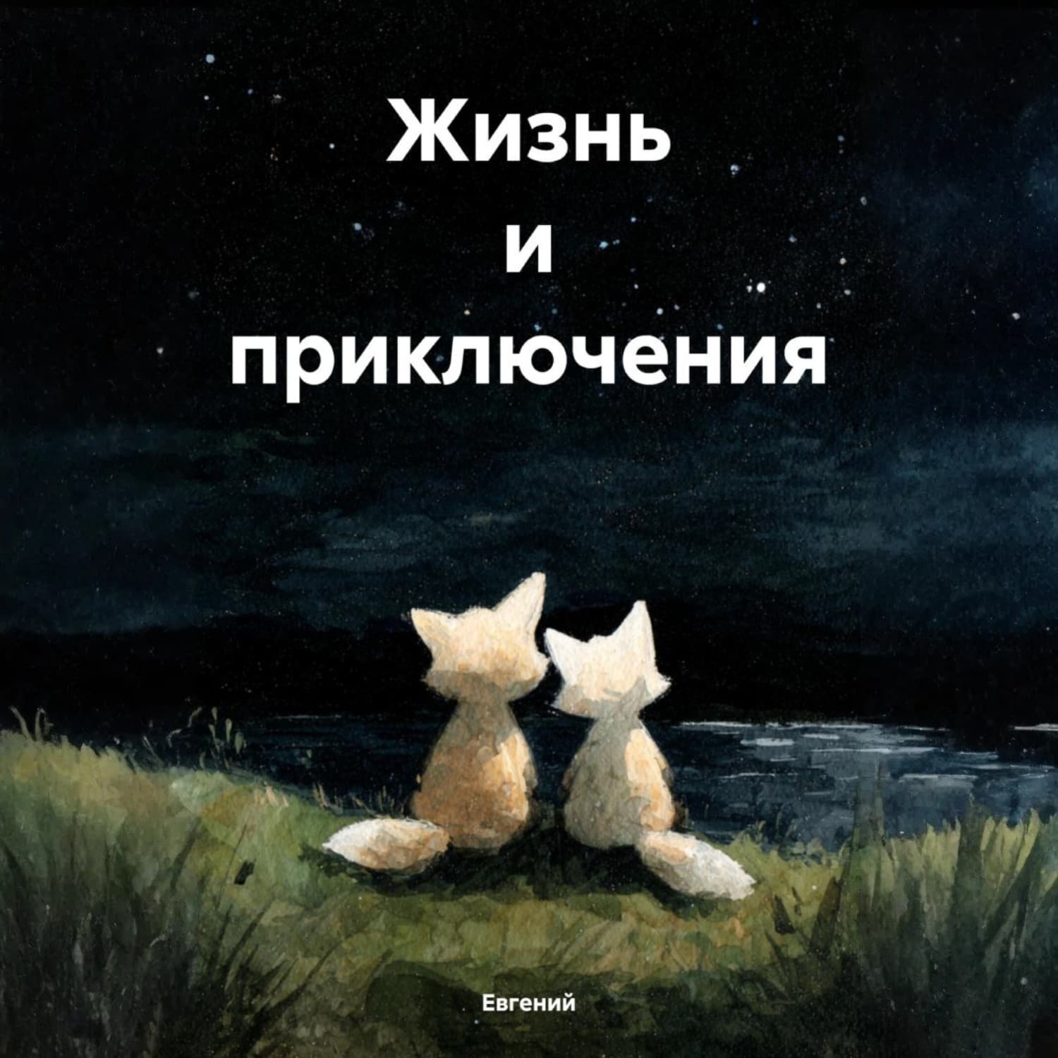Обложка книги «Жизнь и приключения» — Евгений