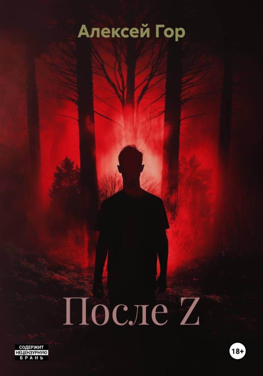 Обложка книги «После Z» — Анастасия Гор