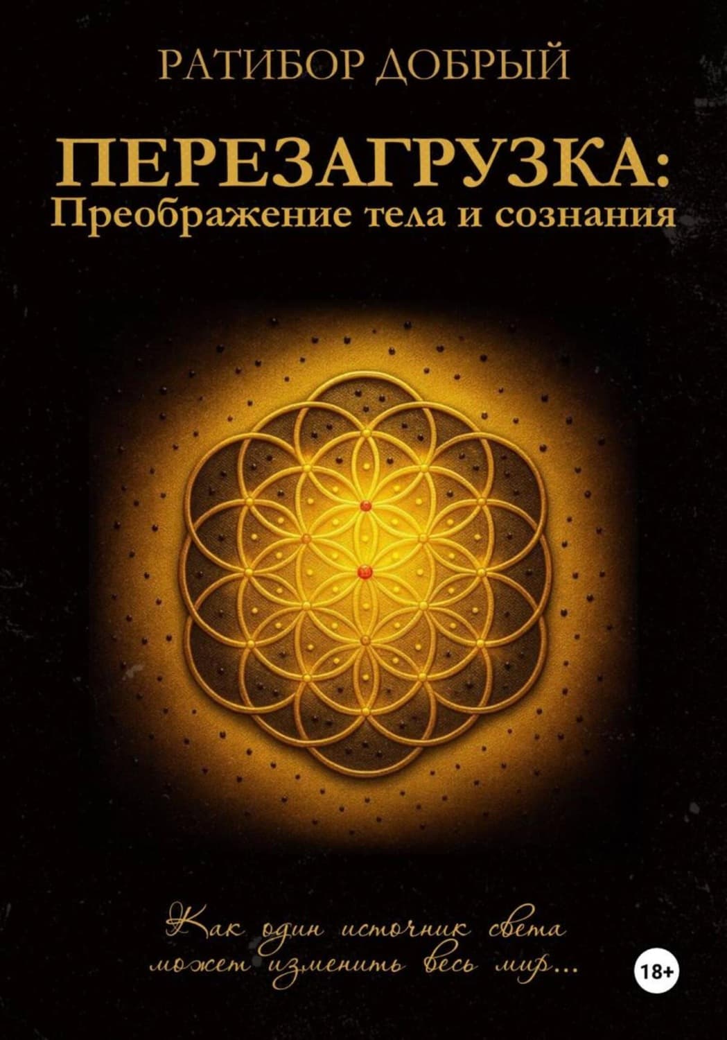 Обложка книги «Перезагрузка: Преображение тела и сознания» — Роман Добрый