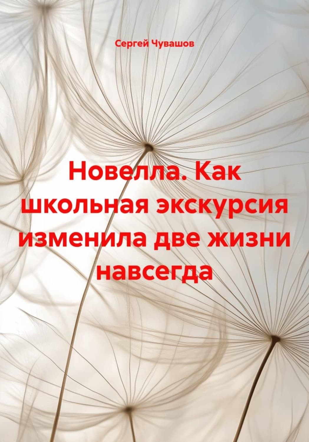 Обложка книги «Новелла. Как школьная экскурсия изменила две жизни навсегда» — Сергей Чувашов