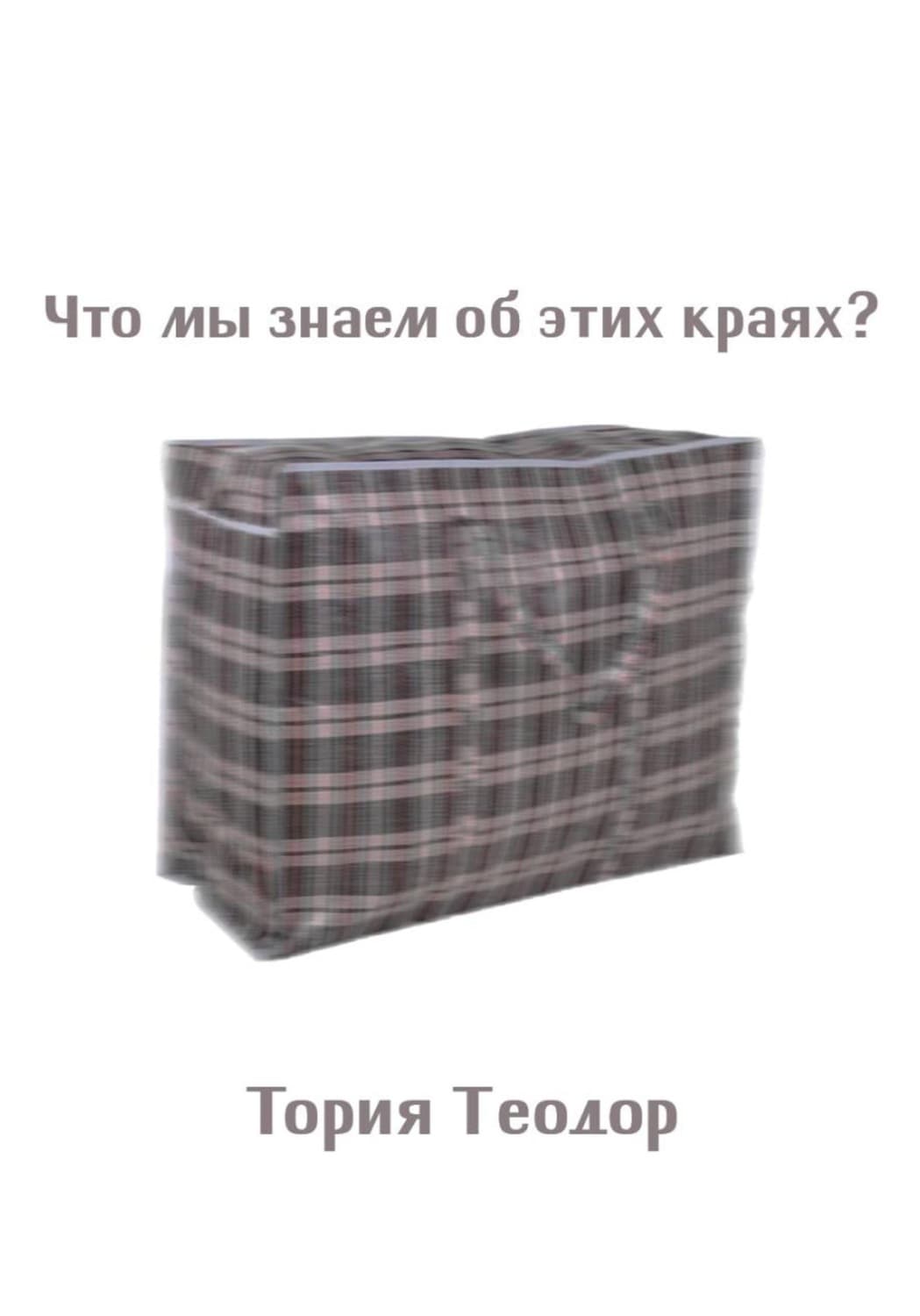 Обложка книги «Что мы знаем об этих краях?» — Теодор Тория