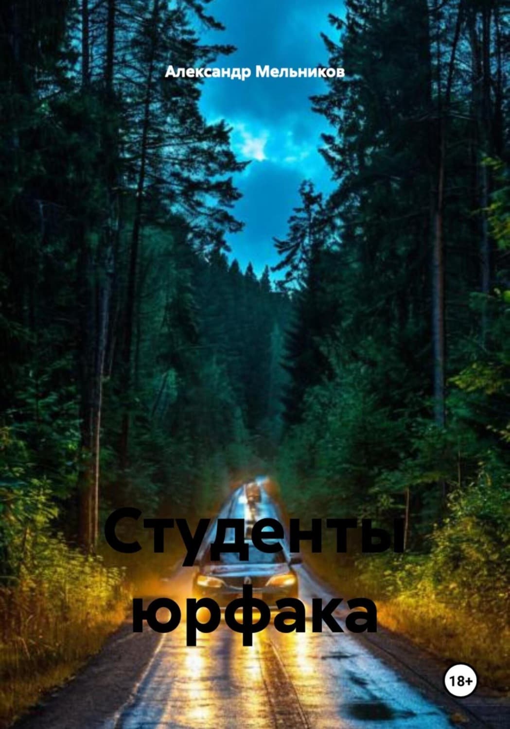Обложка книги «Студенты юрфака» — А. О. Мельников
