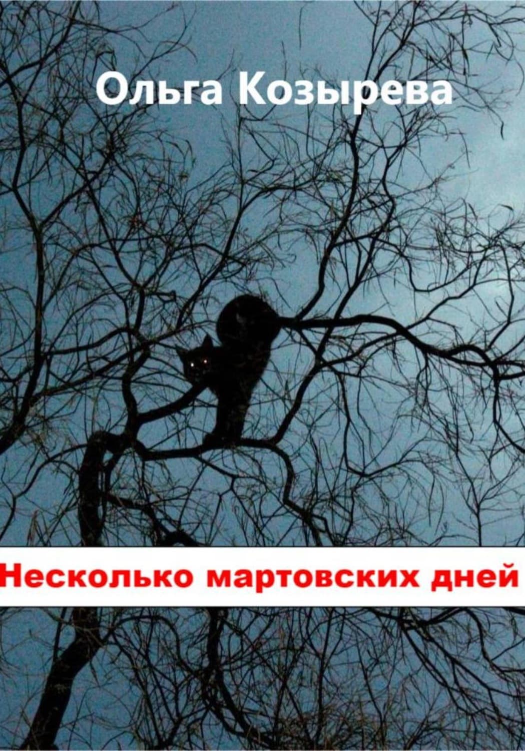 Обложка книги «Несколько мартовских дней» — Оксана Козырева