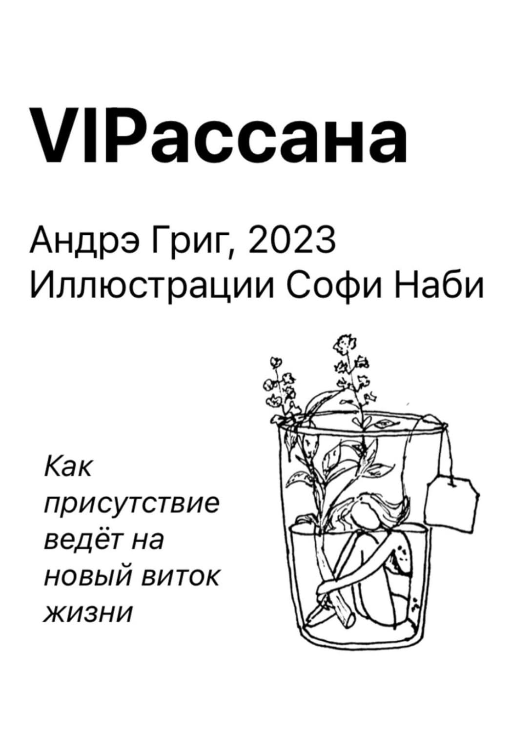 Обложка книги «VIPасана» — Аля Григ