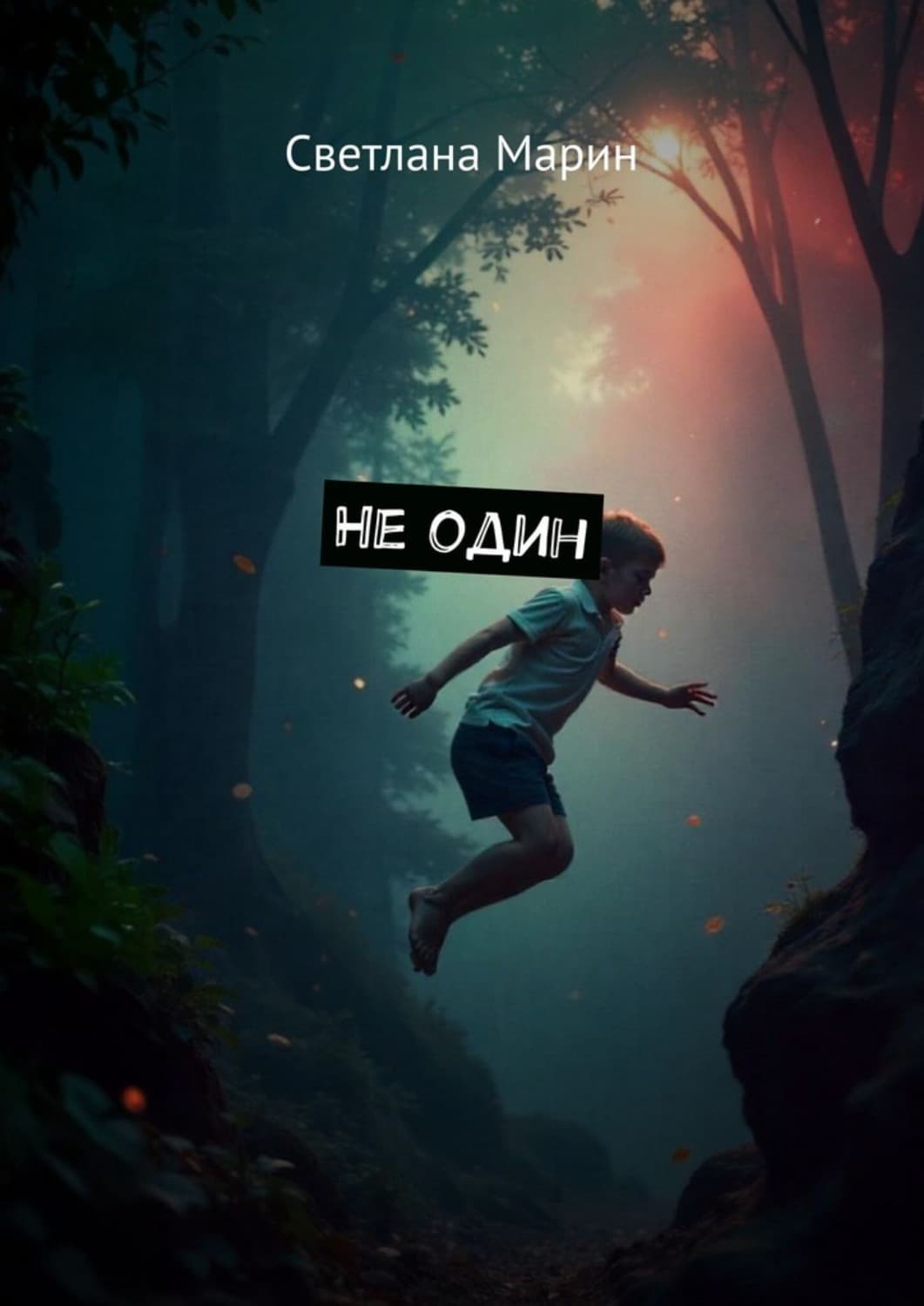 Обложка книги «Не один» — Сергей Марьин