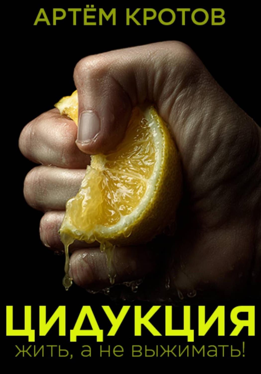 Обложка книги «Цидукция. Жить, а не выжимать!» — Антон Кротов