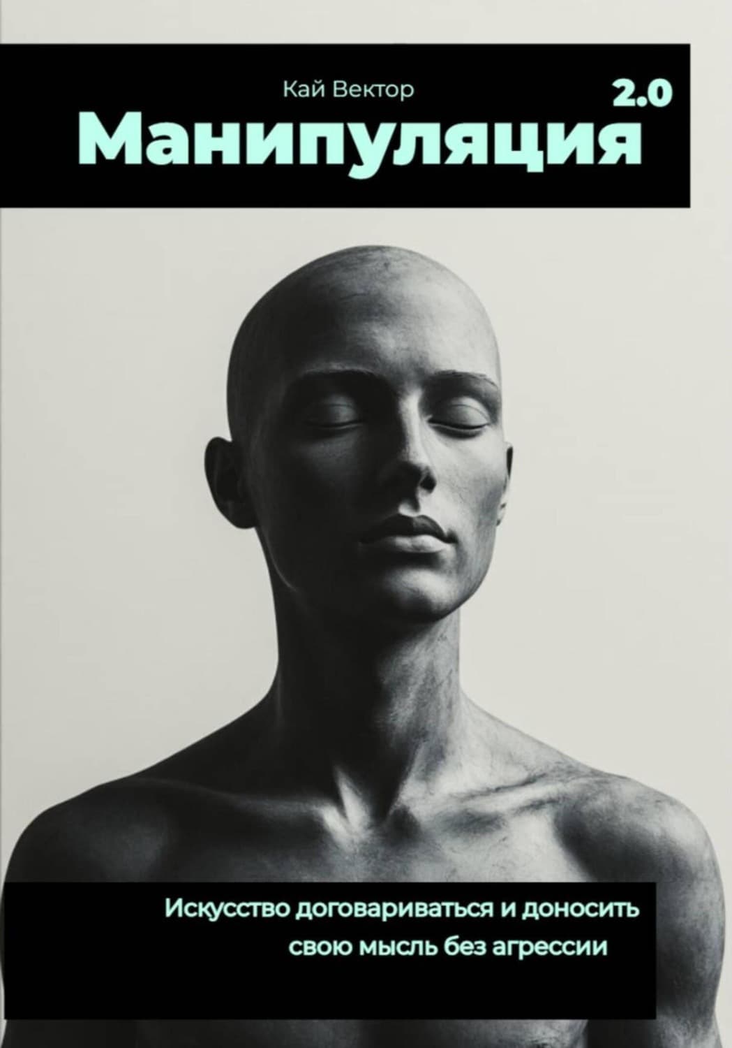 Обложка книги «Манипуляция 2.0 Искусство договариваться и доносить свою мысль без агрессии» — Кай Вектор