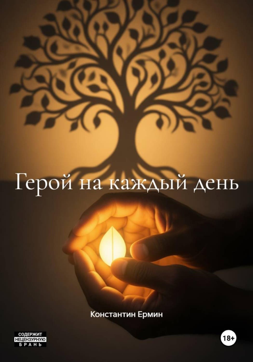 Обложка книги «Герой на каждый день» — Константин Ермин